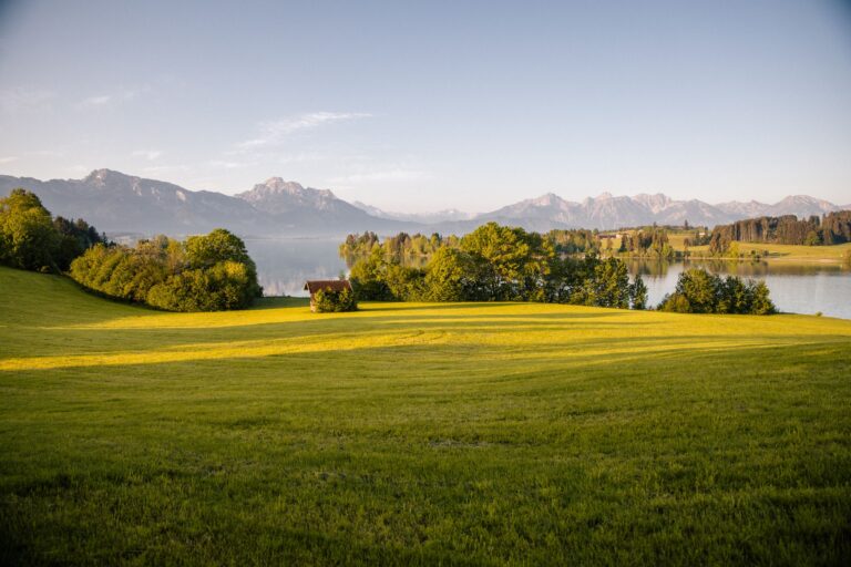 Am Ufer des Forggensees (Illasbergsee) @Allgäu GmbH, Nikolas Seymour